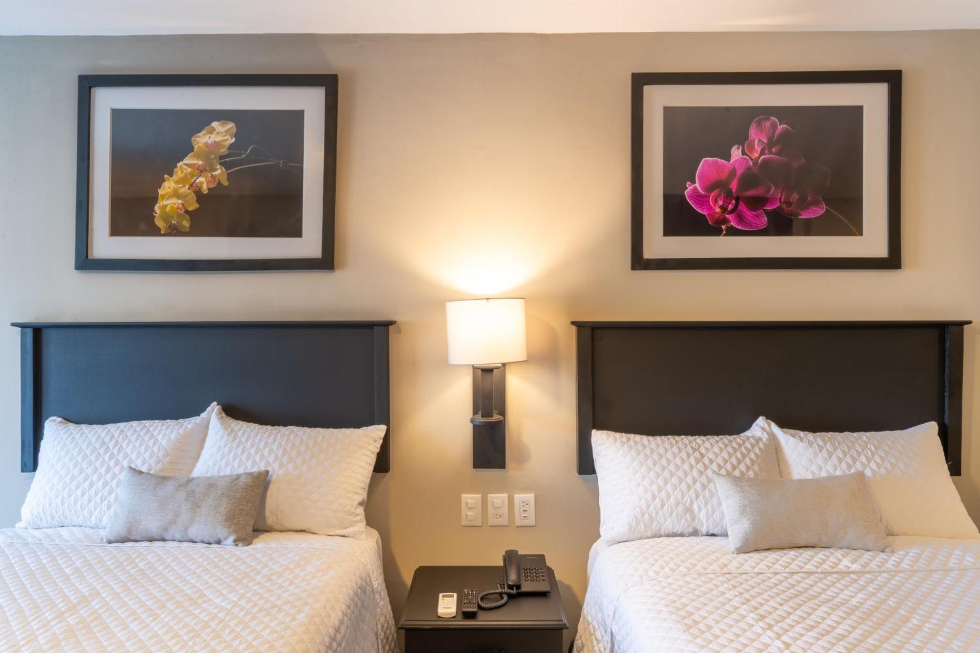 Conquistador Hotel & Conference Center Guatemala City Ngoại thất bức ảnh